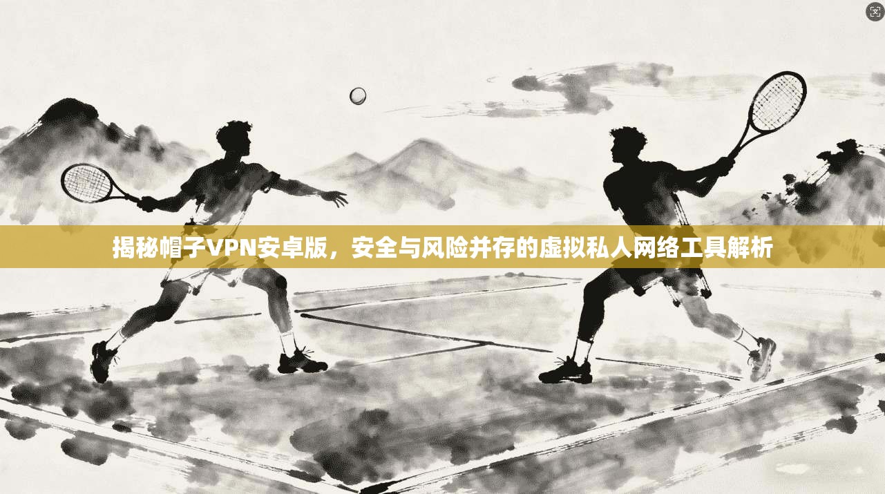 揭秘帽子VPN安卓版，安全与风险并存的虚拟私人网络工具解析