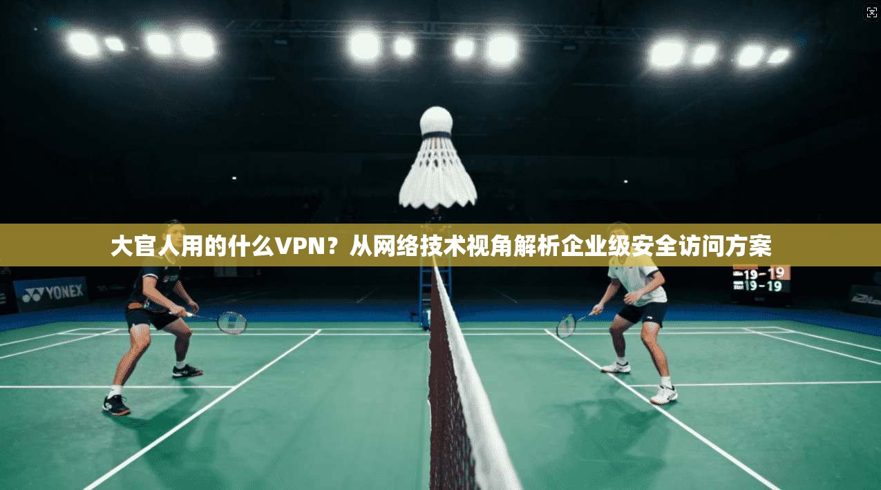 大官人用的什么VPN？从网络技术视角解析企业级安全访问方案