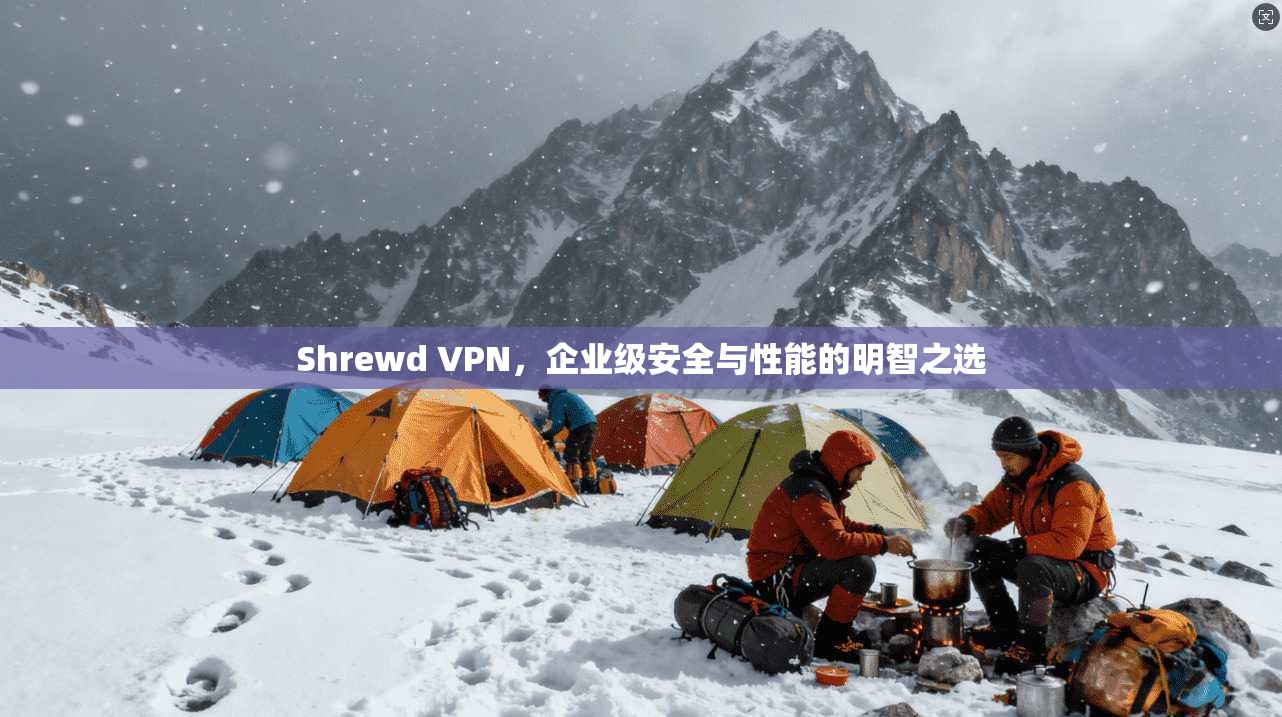 Shrewd VPN，企业级安全与性能的明智之选