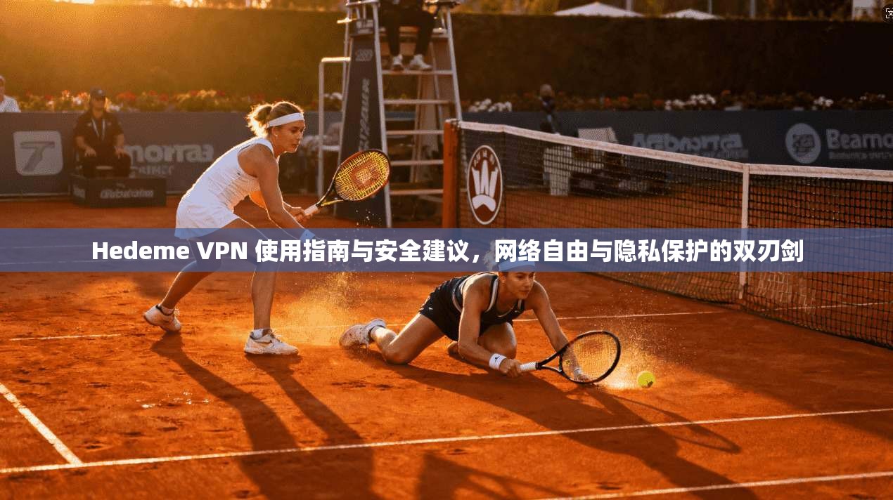 Hedeme VPN 使用指南与安全建议，网络自由与隐私保护的双刃剑