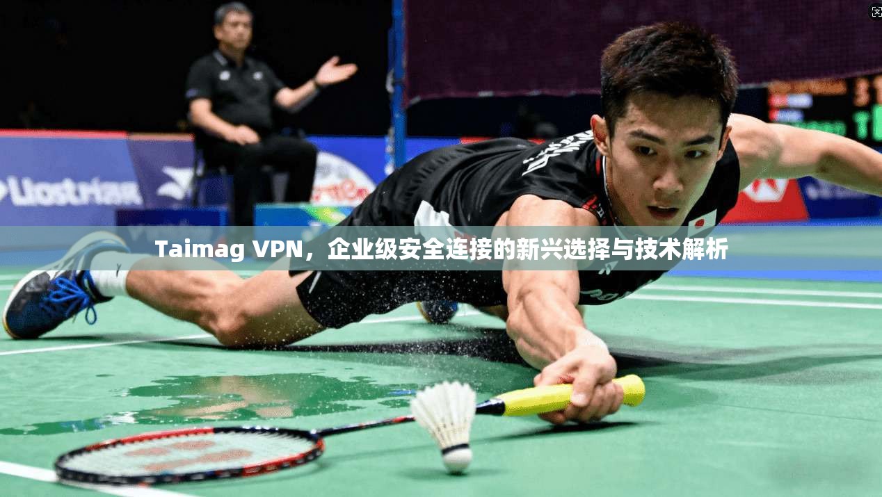 Taimag VPN，企业级安全连接的新兴选择与技术解析