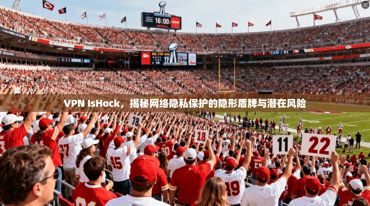 VPN IsHock，揭秘网络隐私保护的隐形盾牌与潜在风险
