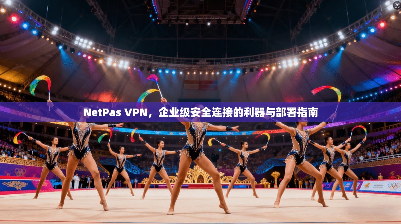 NetPas VPN，企业级安全连接的利器与部署指南