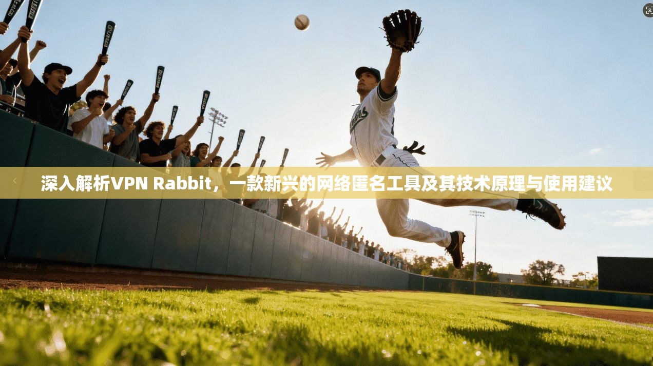 深入解析VPN Rabbit，一款新兴的网络匿名工具及其技术原理与使用建议