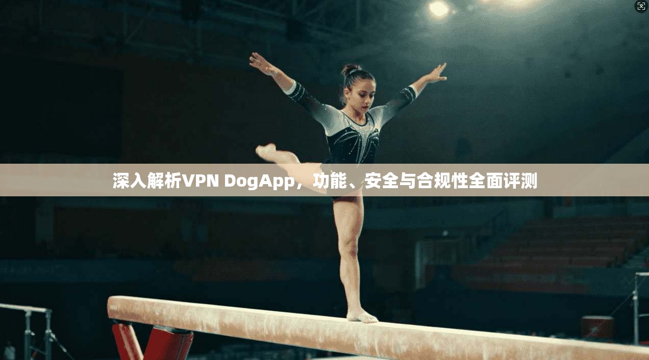 深入解析VPN DogApp，功能、安全与合规性全面评测