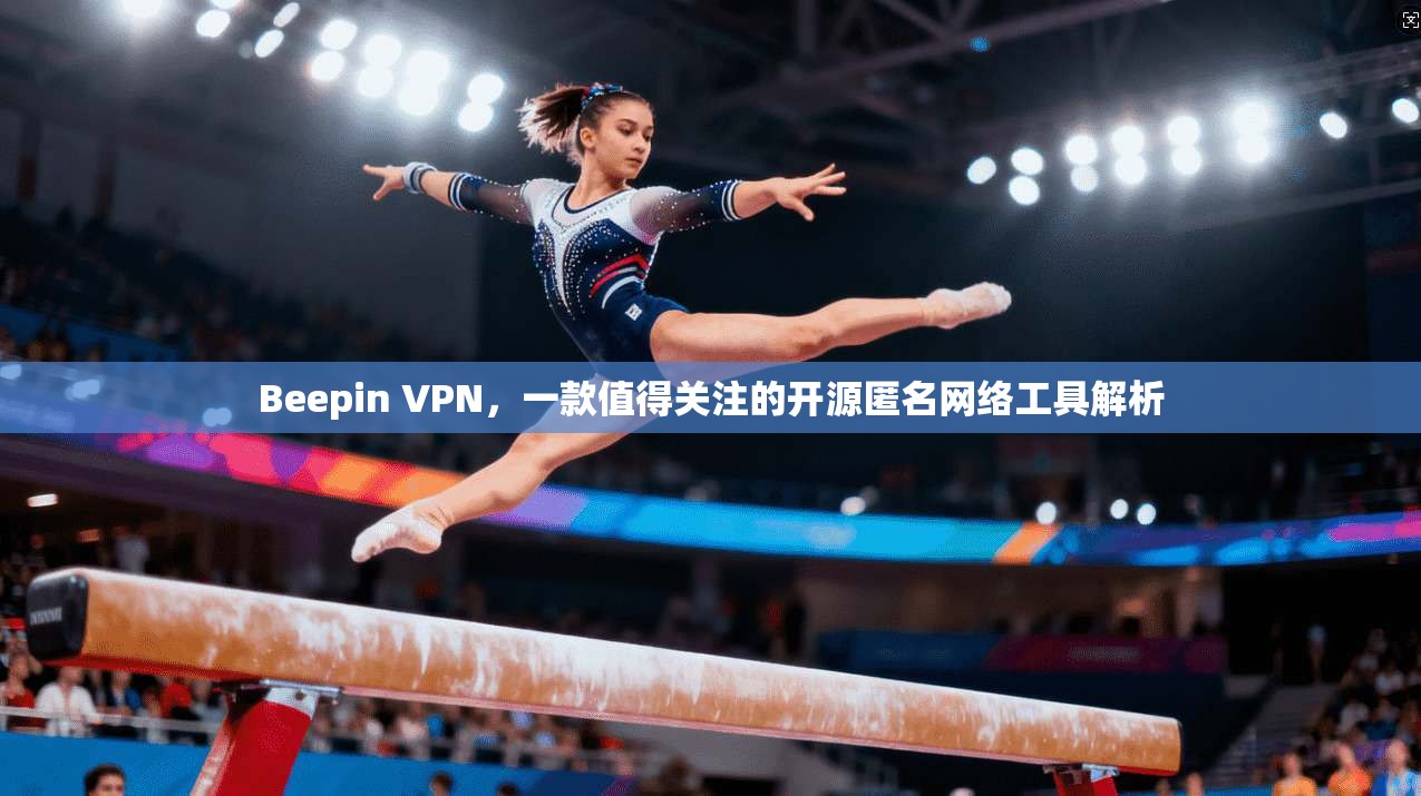 Beepin VPN，一款值得关注的开源匿名网络工具解析
