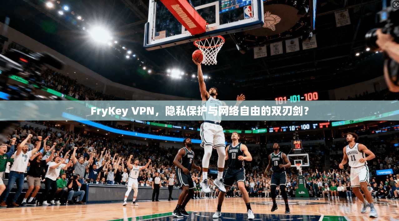 FryKey VPN，隐私保护与网络自由的双刃剑？