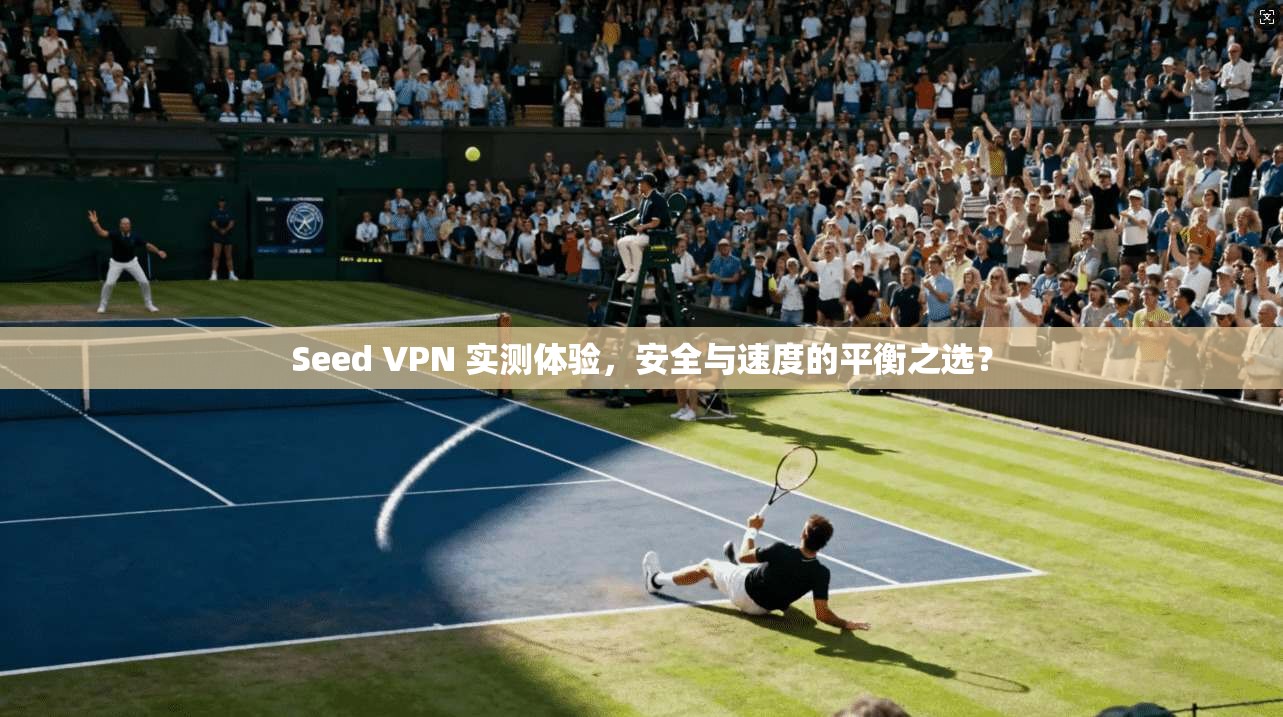 Seed VPN 实测体验，安全与速度的平衡之选？