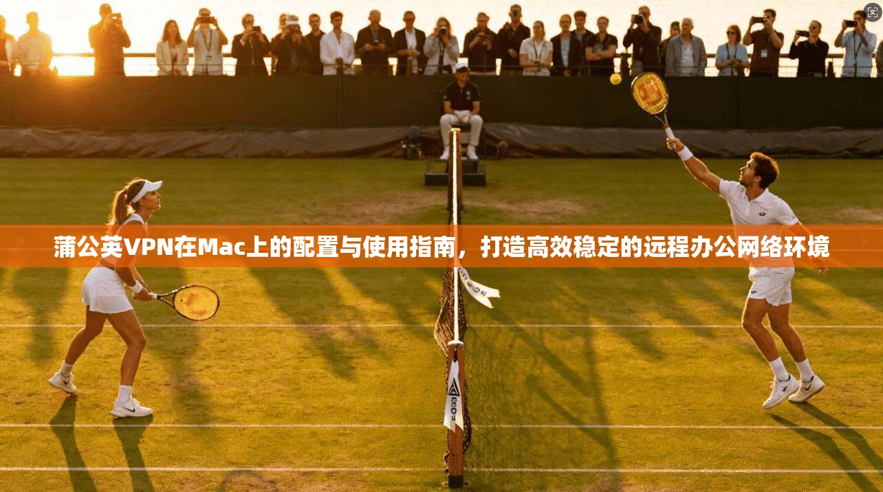 蒲公英VPN在Mac上的配置与使用指南，打造高效稳定的远程办公网络环境