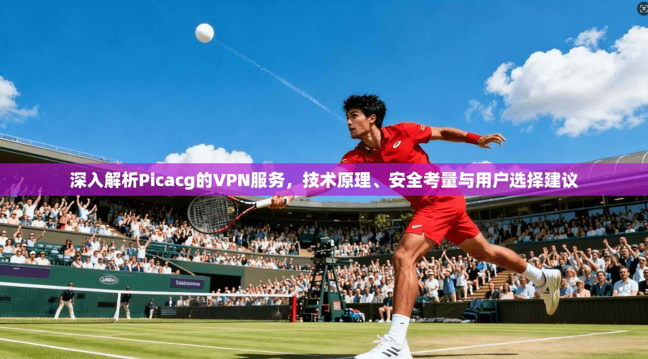 深入解析Picacg的VPN服务，技术原理、安全考量与用户选择建议