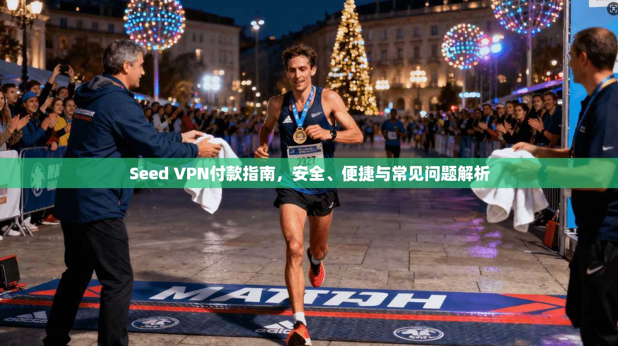Seed VPN付款指南，安全、便捷与常见问题解析
