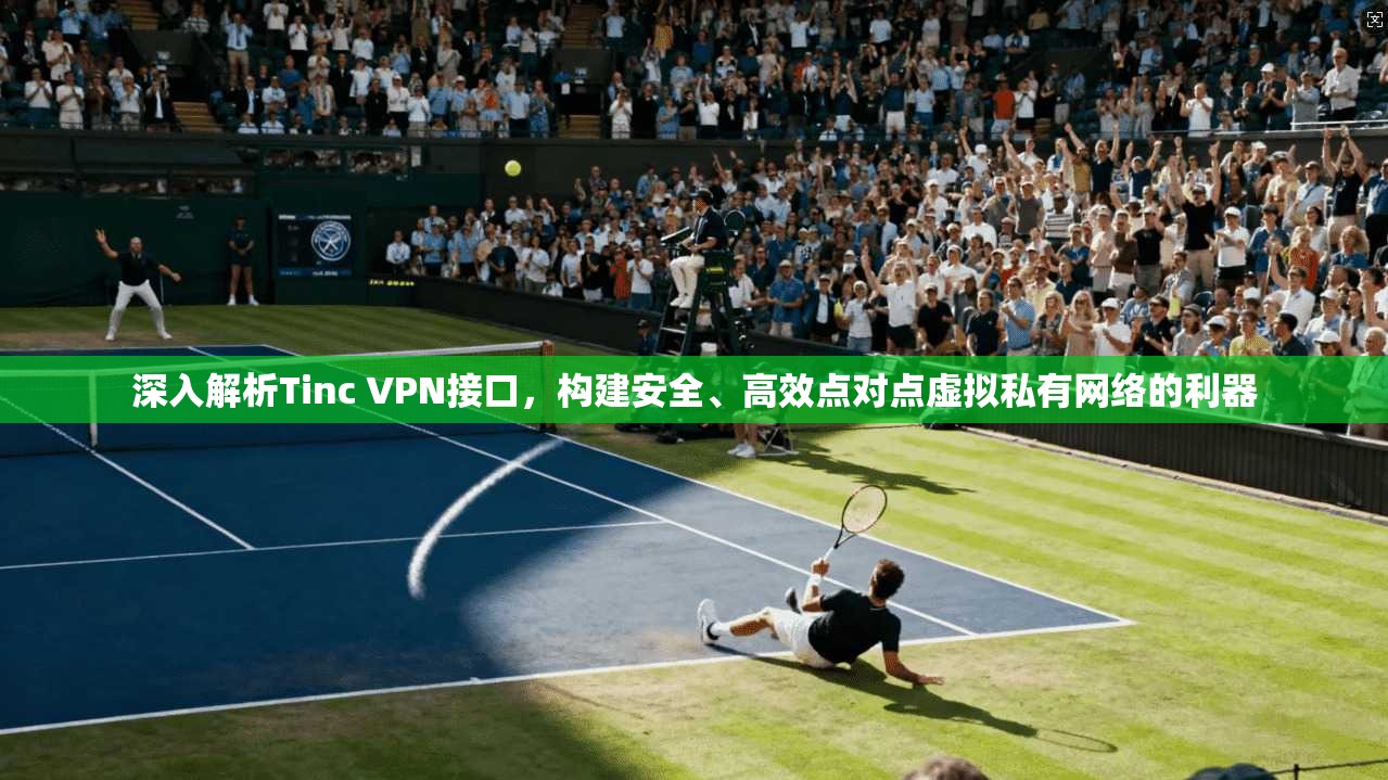 深入解析Tinc VPN接口，构建安全、高效点对点虚拟私有网络的利器