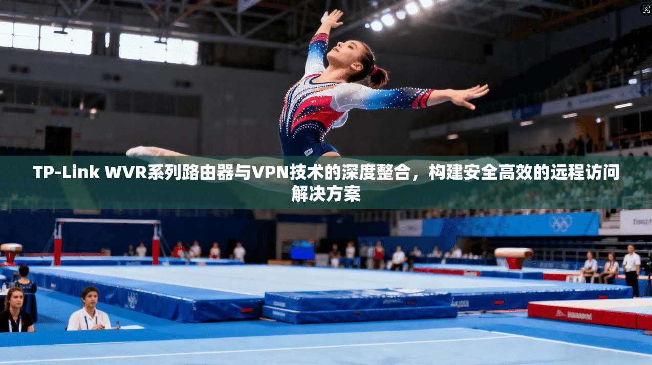 TP-Link WVR系列路由器与VPN技术的深度整合，构建安全高效的远程访问解决方案