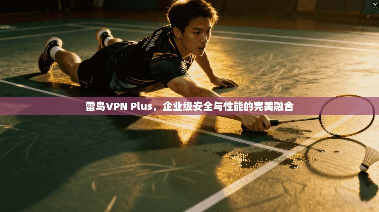 雷鸟VPN Plus，企业级安全与性能的完美融合