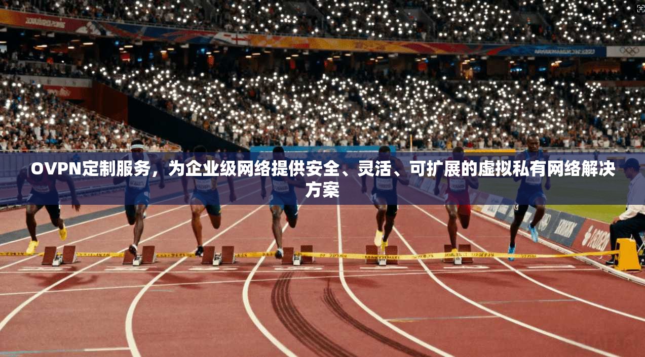OVPN定制服务，为企业级网络提供安全、灵活、可扩展的虚拟私有网络解决方案
