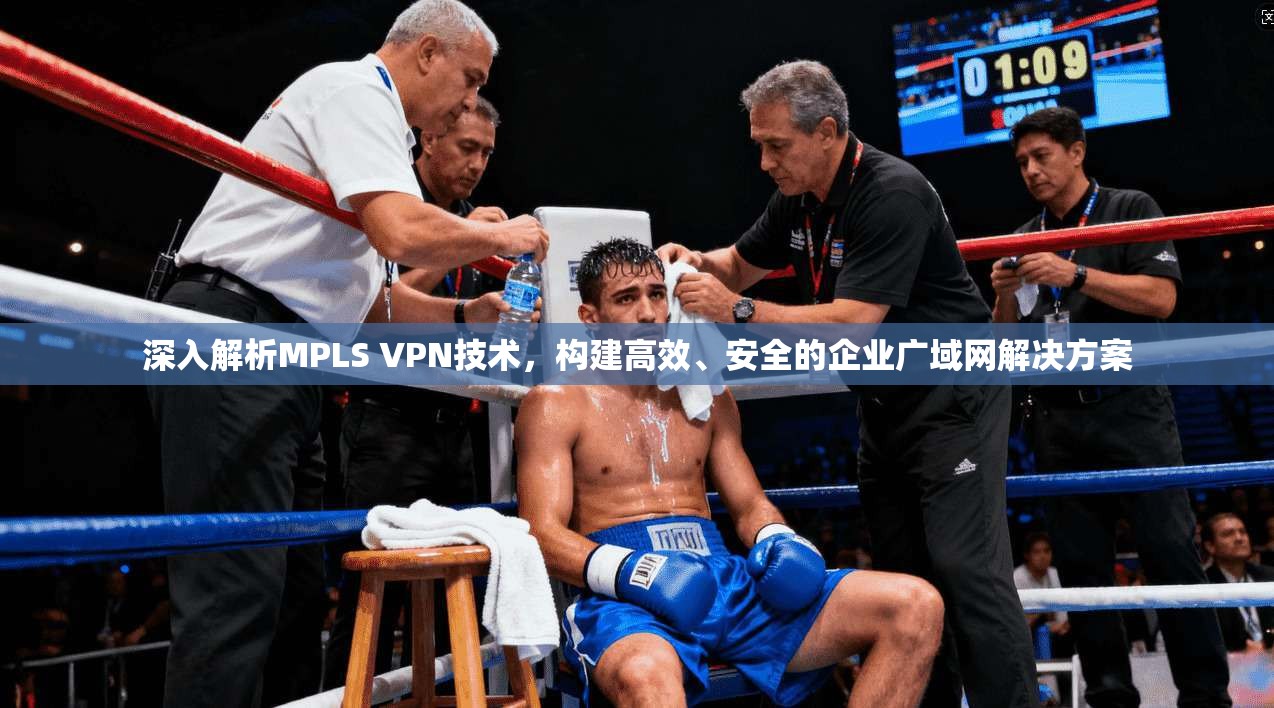 深入解析MPLS VPN技术，构建高效、安全的企业广域网解决方案