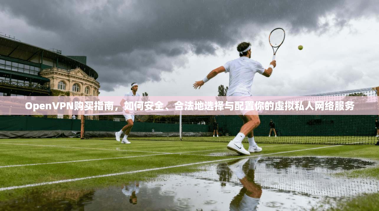 OpenVPN购买指南，如何安全、合法地选择与配置你的虚拟私人网络服务