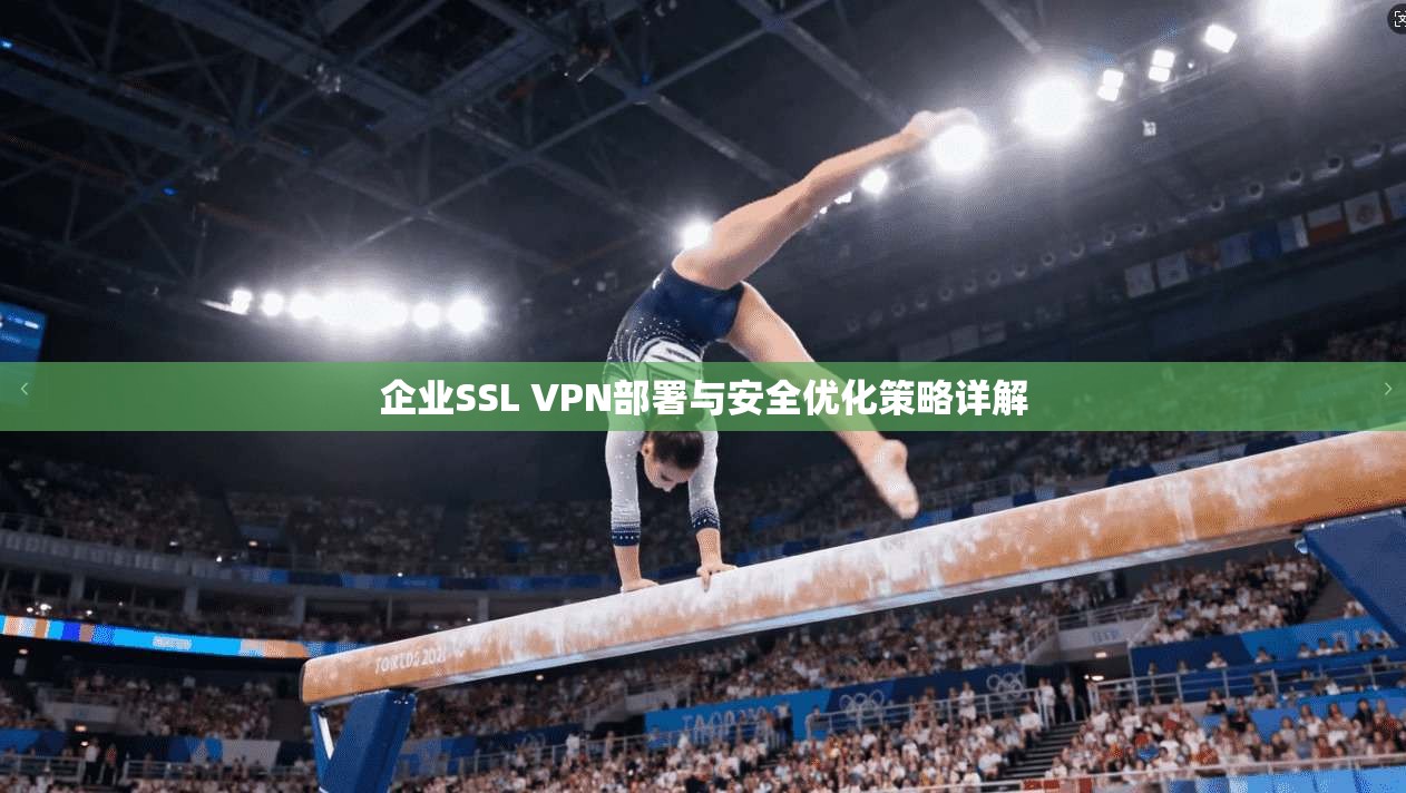 企业SSL VPN部署与安全优化策略详解