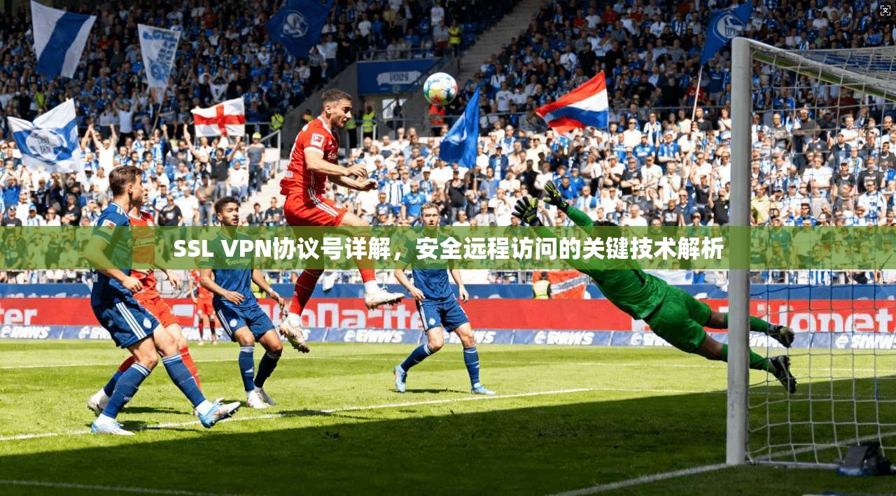 SSL VPN协议号详解，安全远程访问的关键技术解析