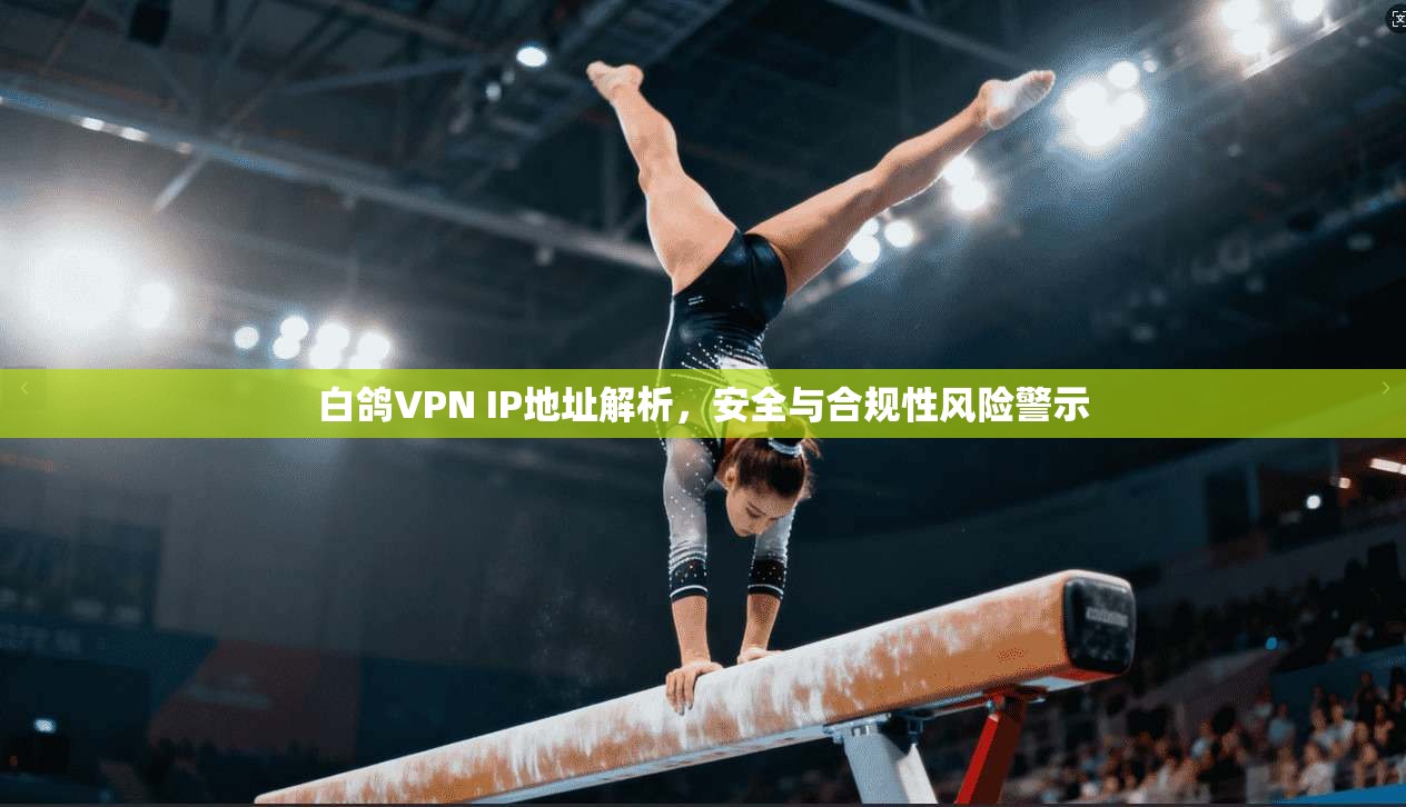 白鸽VPN IP地址解析，安全与合规性风险警示