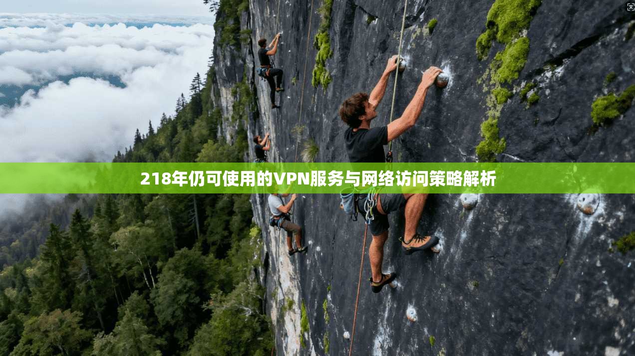 218年仍可使用的VPN服务与网络访问策略解析