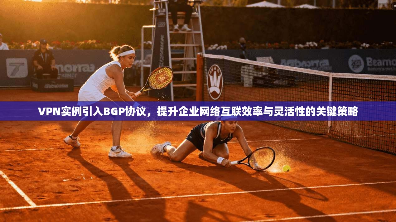 VPN实例引入BGP协议,提升企业网络互联效率与灵活性的关键策略 VPN实例引入BGP协议,提升企业网络互联效率与灵活性的关键策略
