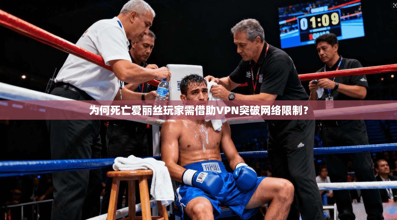 为何死亡爱丽丝玩家需借助VPN突破网络限制？
