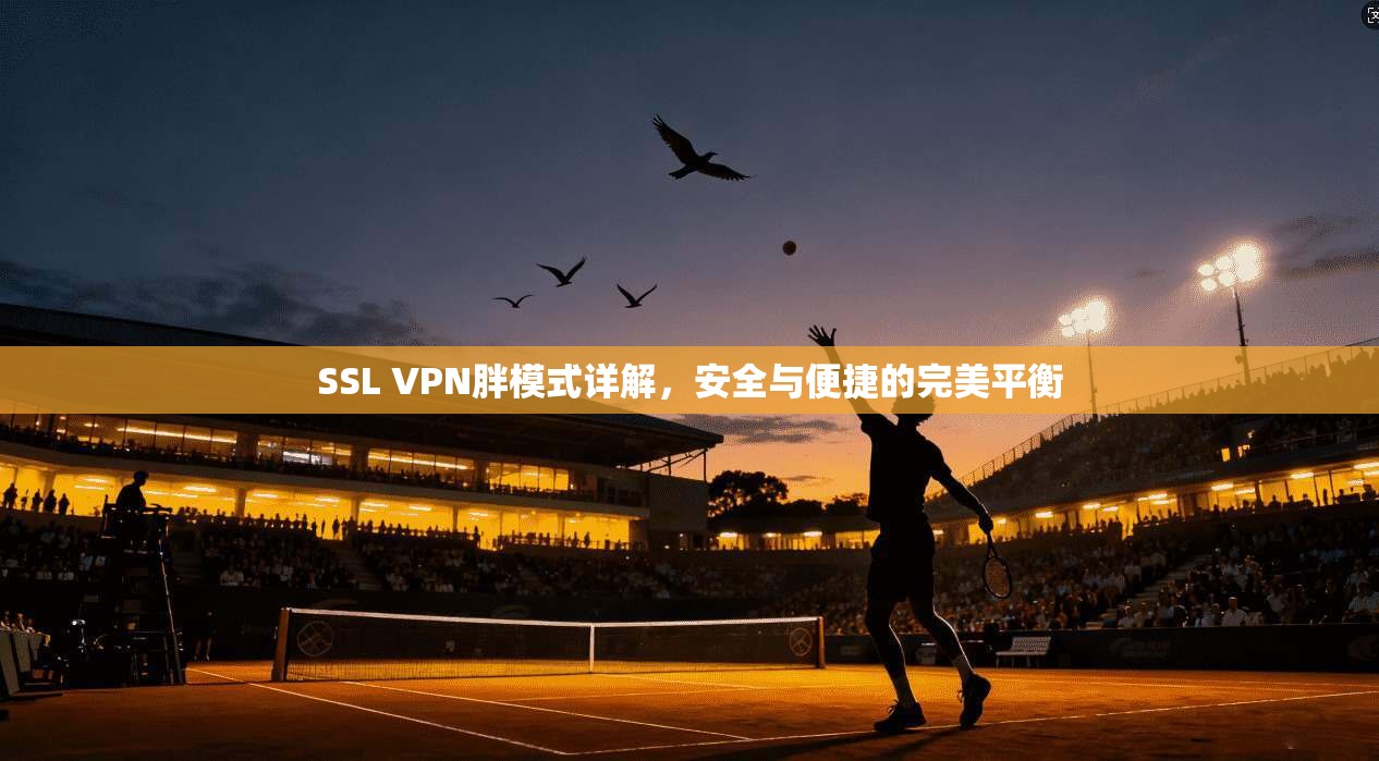 SSL VPN胖模式详解，安全与便捷的完美平衡