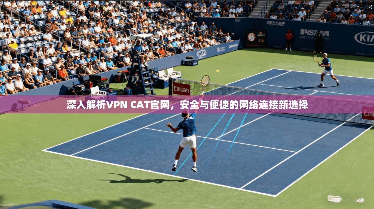 深入解析VPN CAT官网，安全与便捷的网络连接新选择