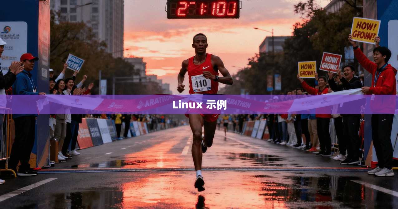 Linux 示例
