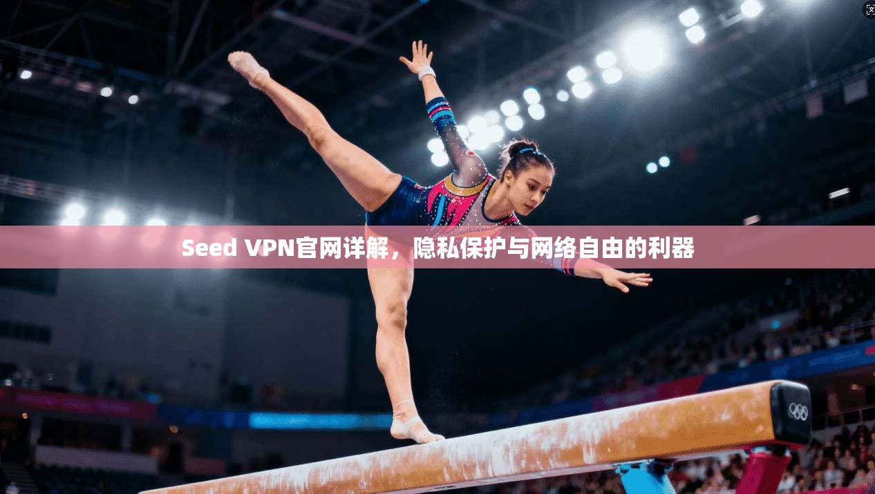 Seed VPN官网详解，隐私保护与网络自由的利器