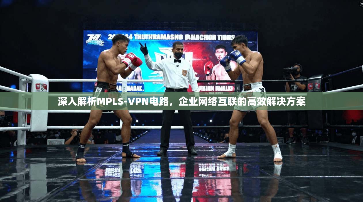 深入解析MPLS-VPN电路，企业网络互联的高效解决方案