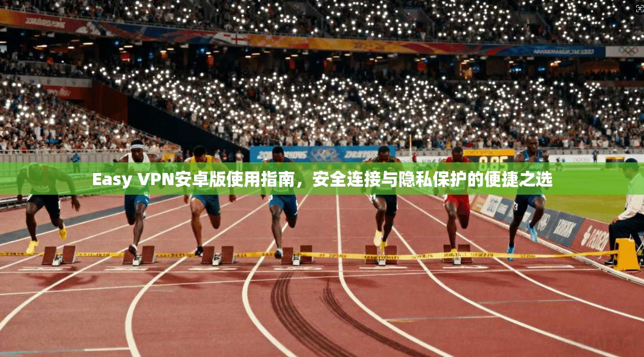 Easy VPN安卓版使用指南，安全连接与隐私保护的便捷之选