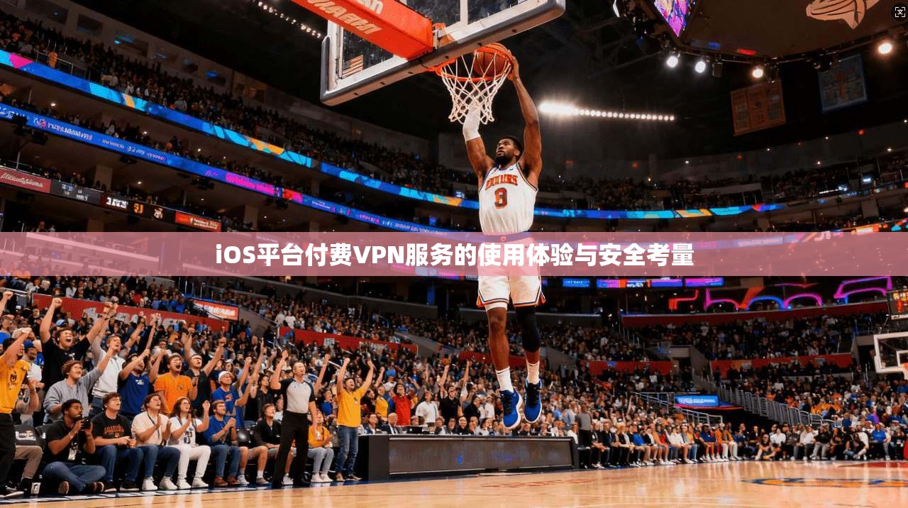 iOS平台付费VPN服务的使用体验与安全考量