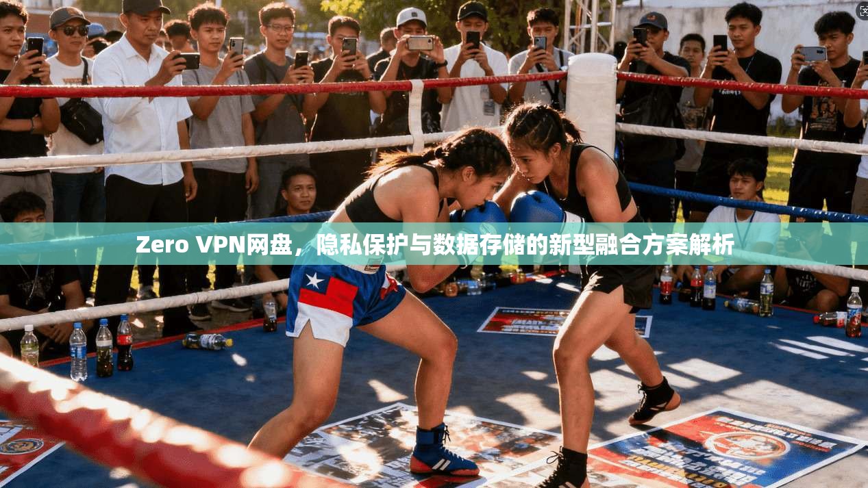Zero VPN网盘，隐私保护与数据存储的新型融合方案解析