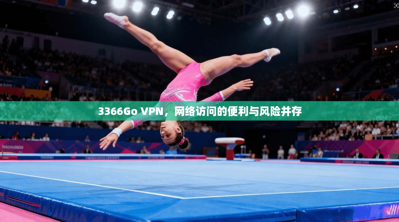 3366Go VPN，网络访问的便利与风险并存