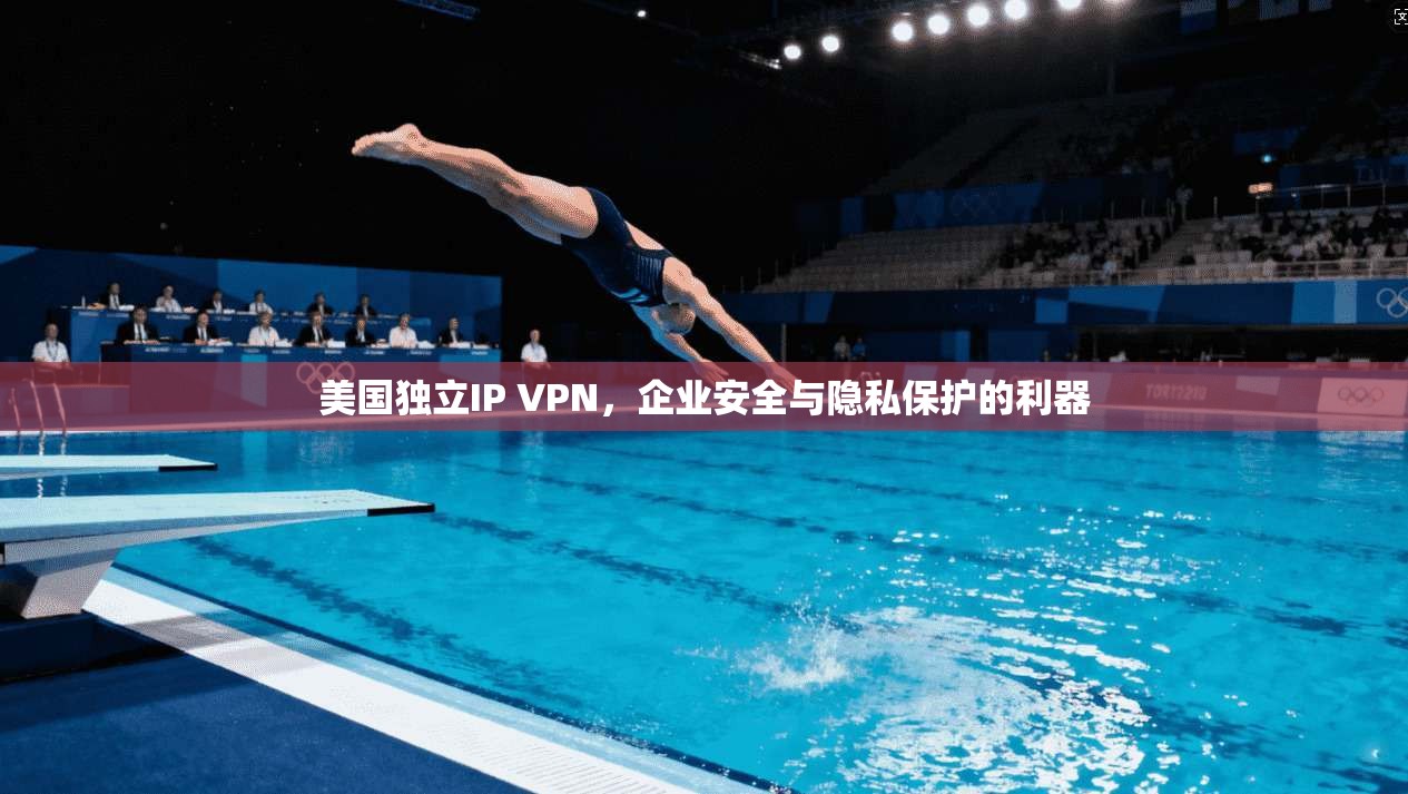 美国独立IP VPN，企业安全与隐私保护的利器