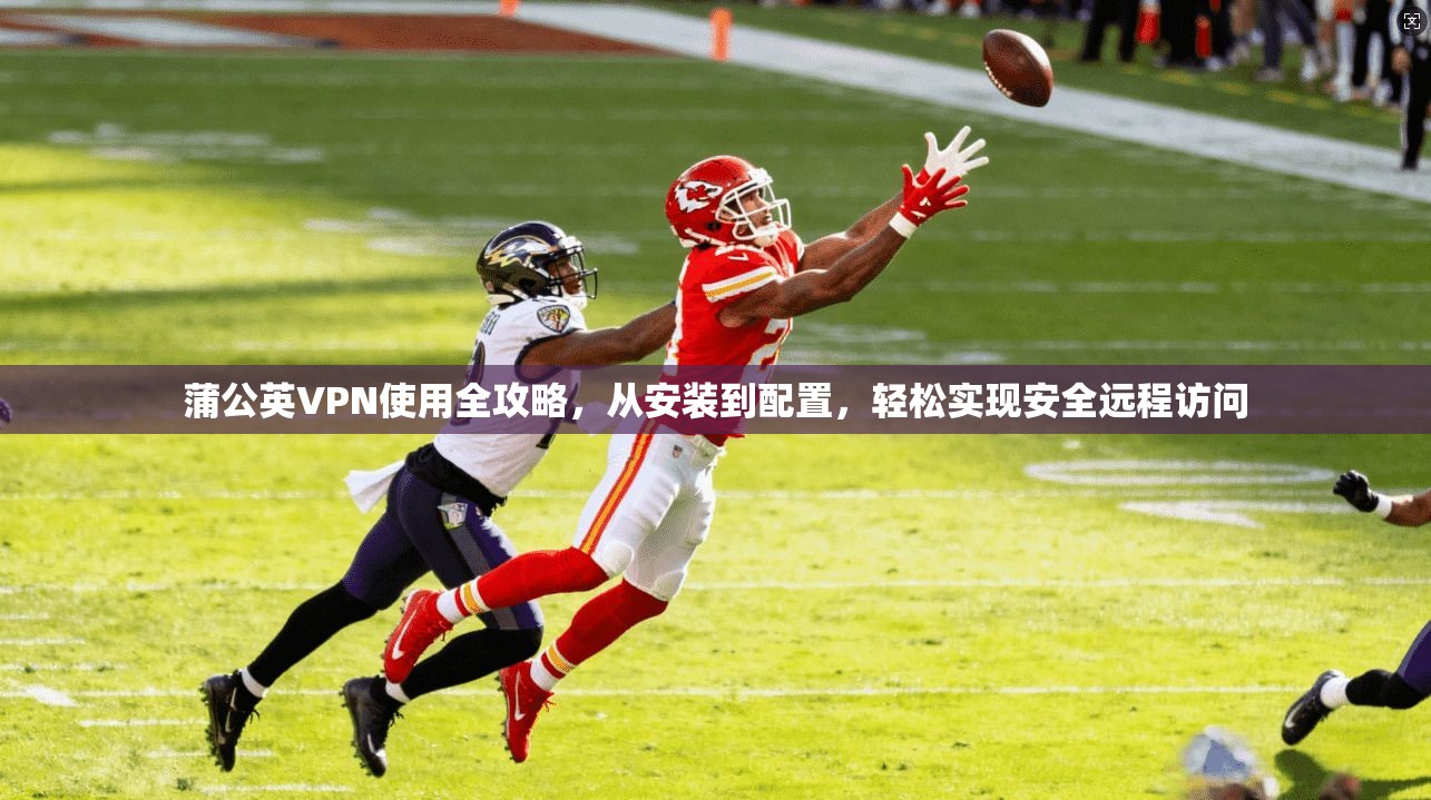 蒲公英VPN使用全攻略，从安装到配置，轻松实现安全远程访问