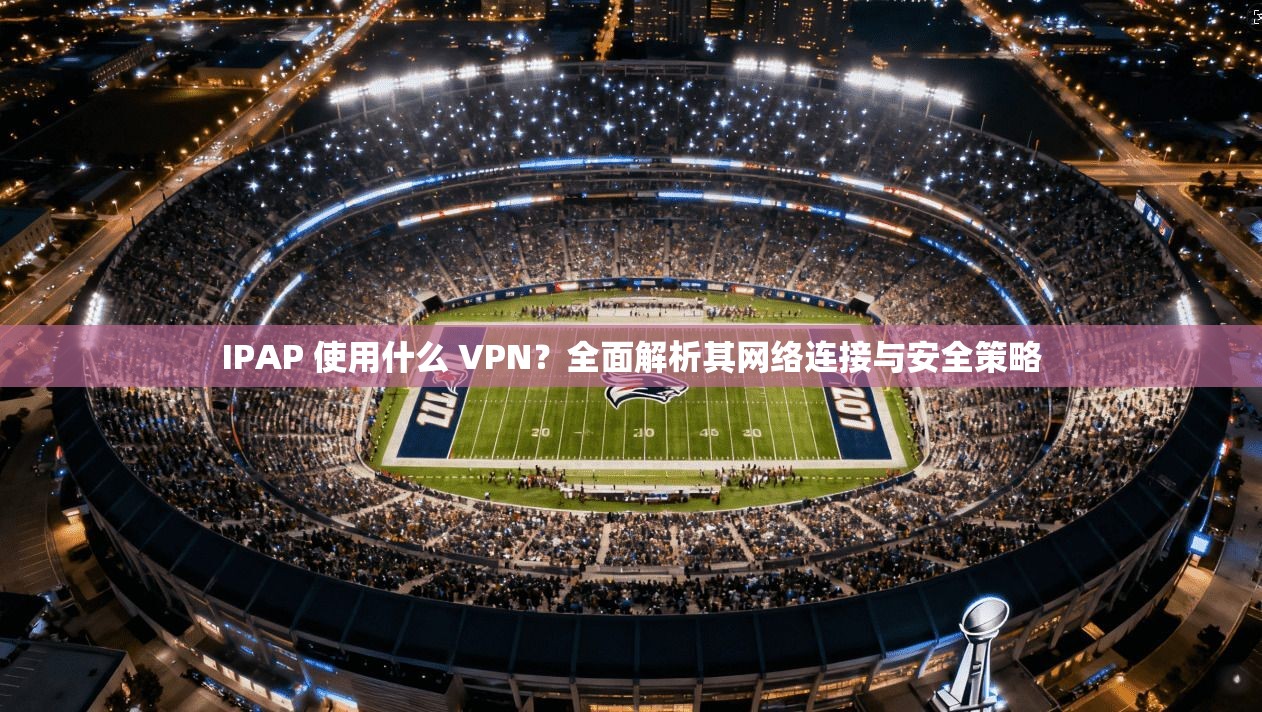IPAP 使用什么 VPN？全面解析其网络连接与安全策略