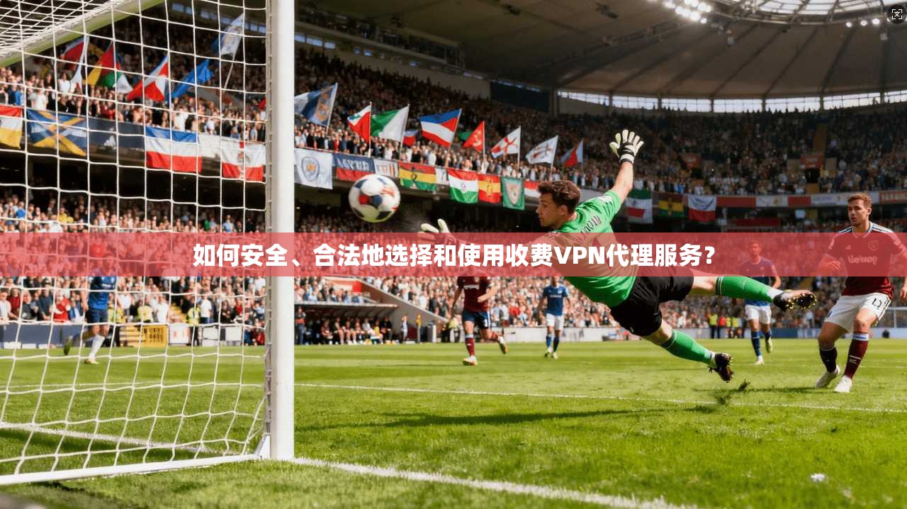如何安全、合法地选择和使用收费VPN代理服务？