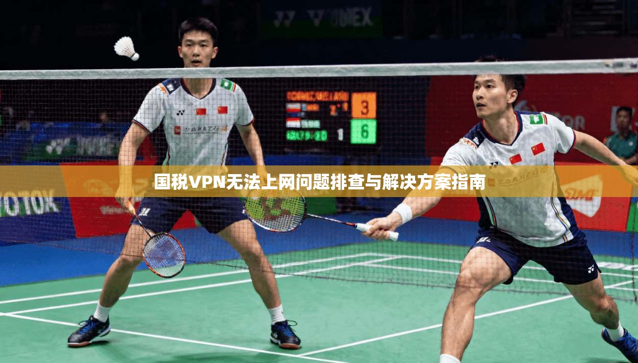 国税VPN无法上网问题排查与解决方案指南