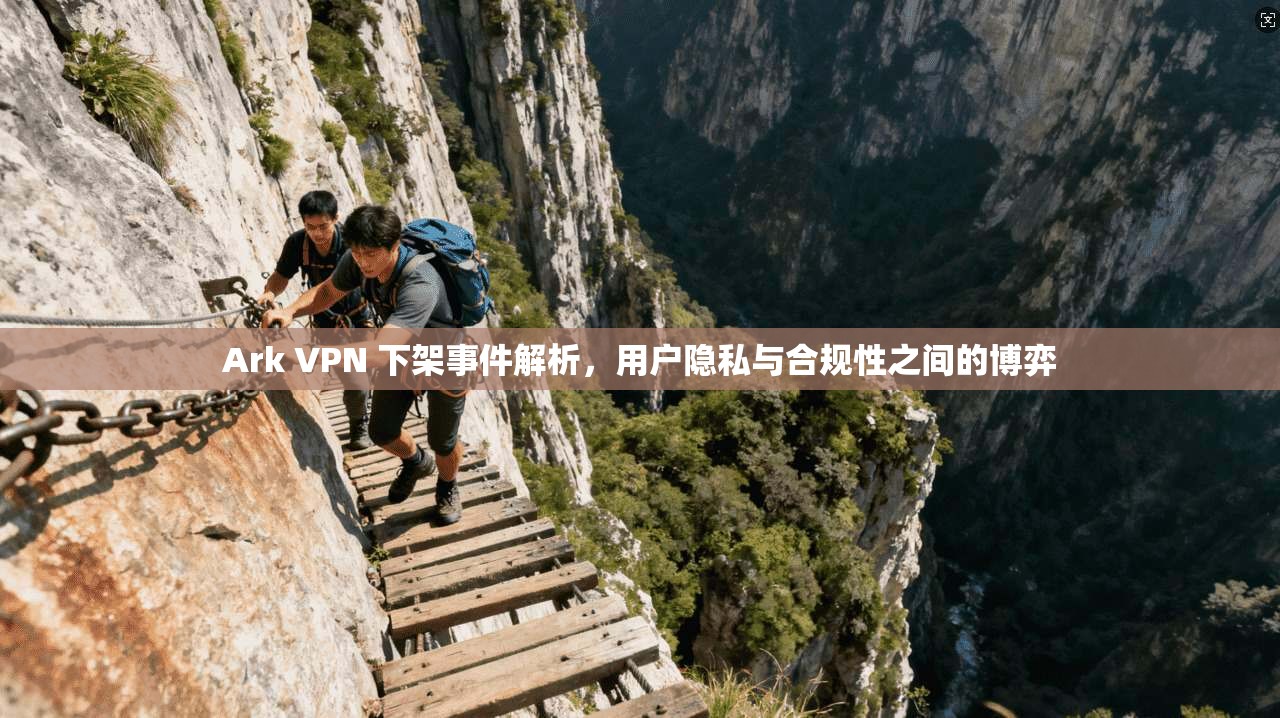 Ark VPN 下架事件解析，用户隐私与合规性之间的博弈