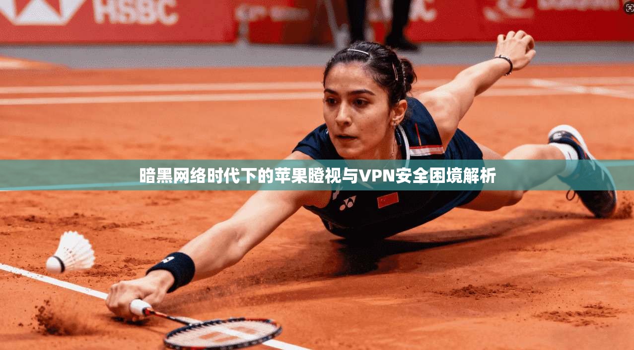 暗黑网络时代下的苹果瞪视与VPN安全困境解析