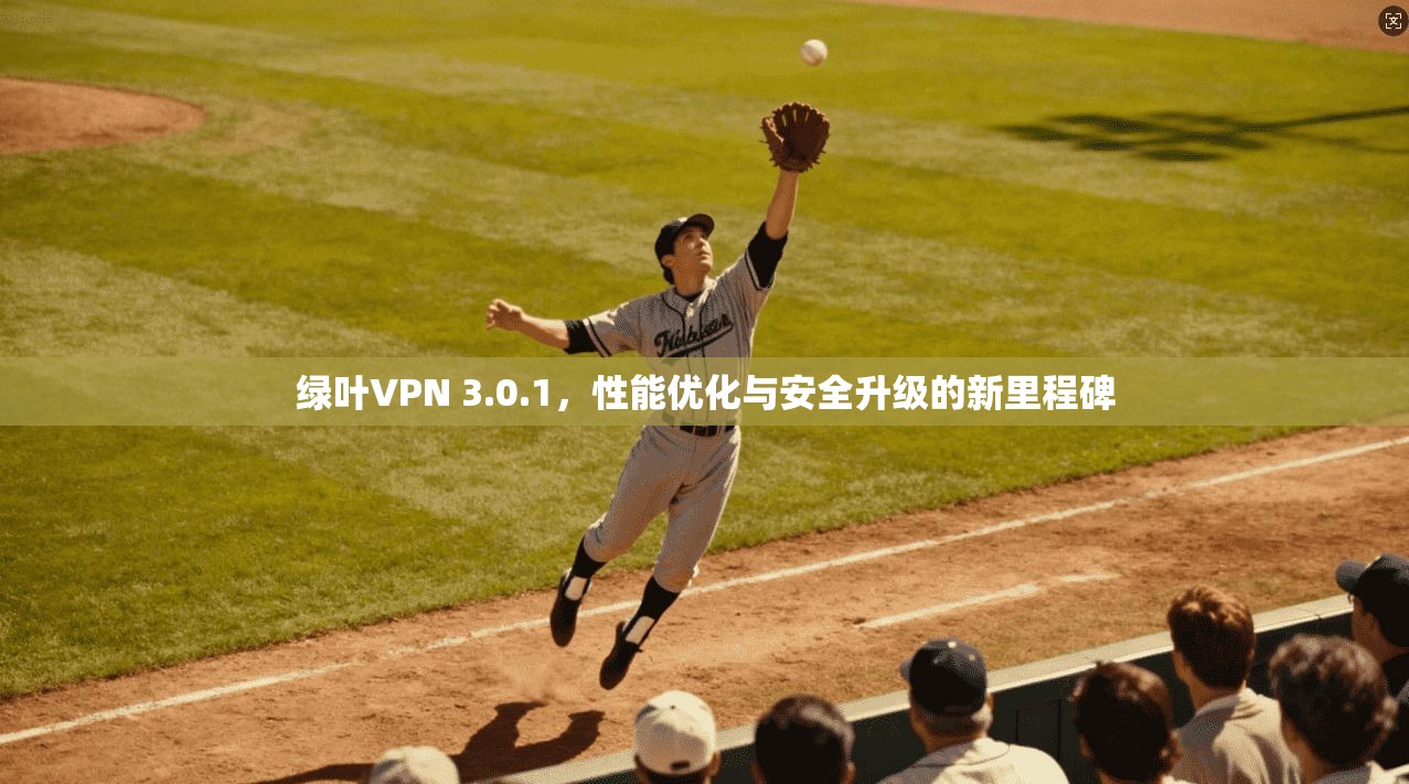 绿叶VPN 3.0.1，性能优化与安全升级的新里程碑
