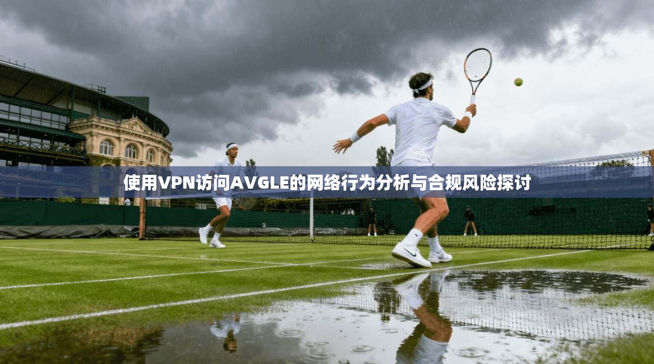 使用VPN访问AVGLE的网络行为分析与合规风险探讨