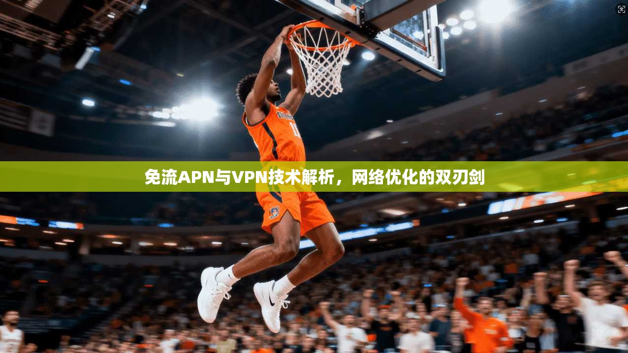 免流APN与VPN技术解析，网络优化的双刃剑