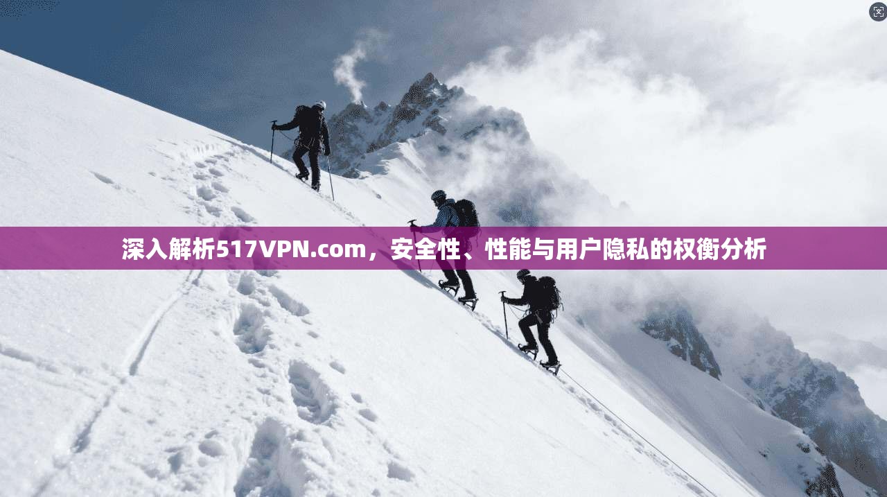 深入解析517VPN.com，安全性、性能与用户隐私的权衡分析
