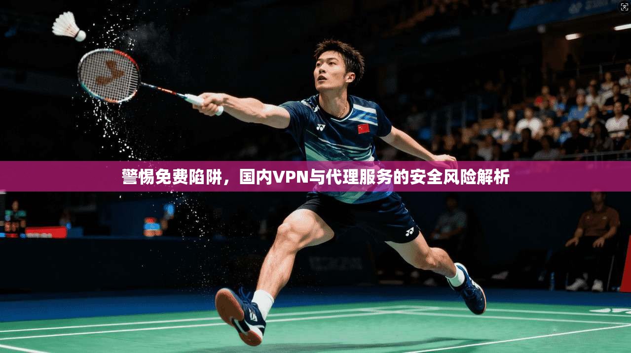 警惕免费陷阱,国内VPN与代理服务的安全风险解析 警惕免费陷阱,国内VPN与代理服务的安全风险解析