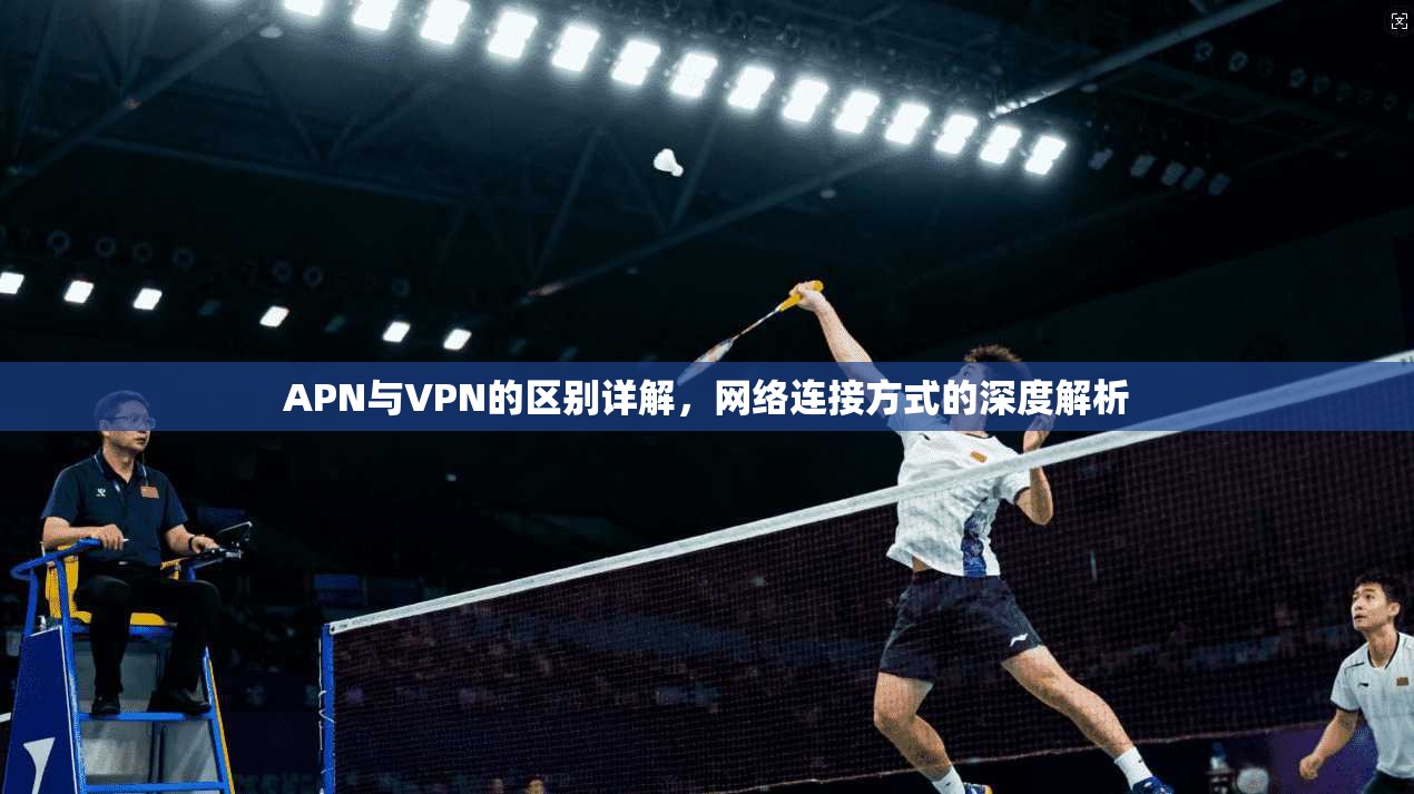 APN与VPN的区别详解，网络连接方式的深度解析