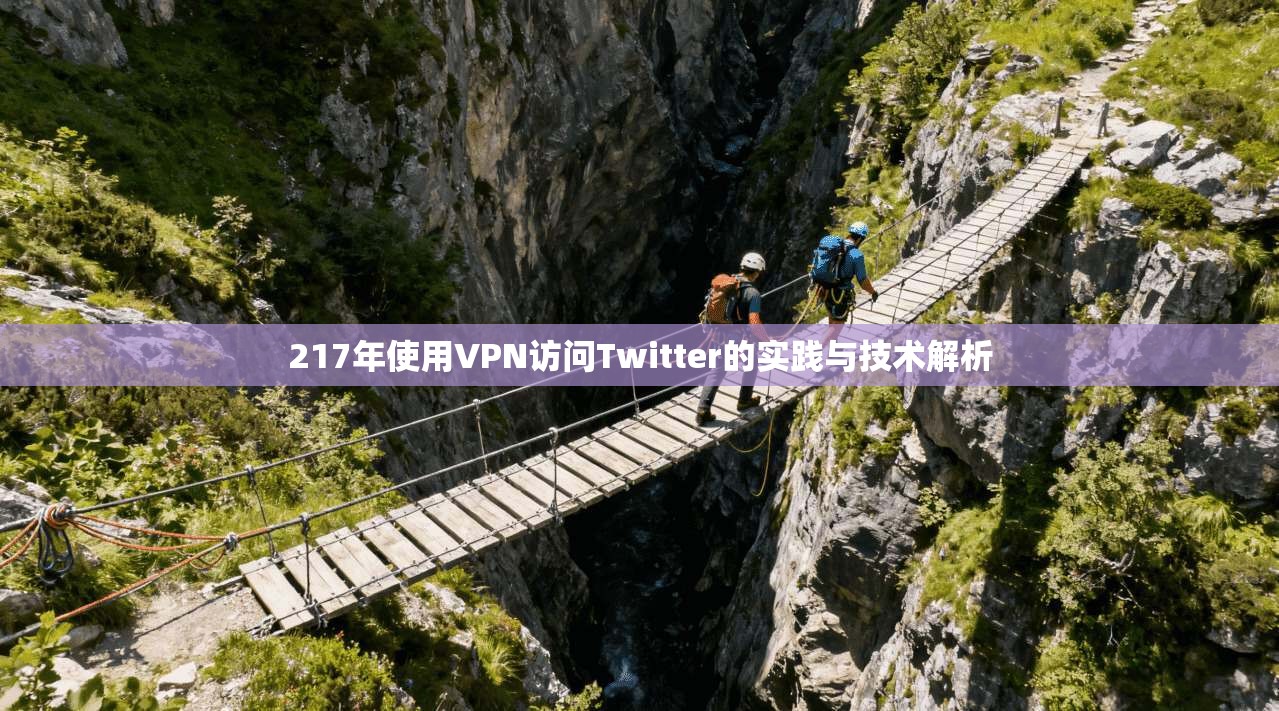 217年使用VPN访问Twitter的实践与技术解析